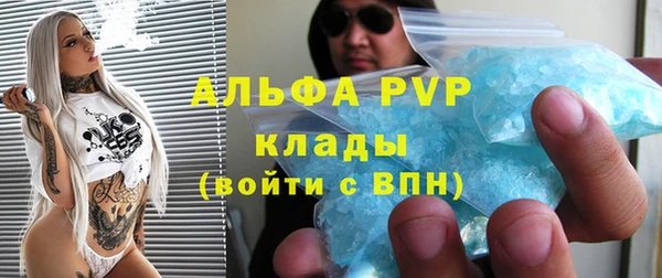 стафф Бородино