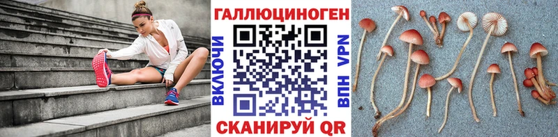 Псилоцибиновые грибы GOLDEN TEACHER  Кадников 