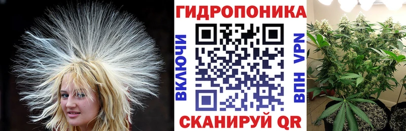 Каннабис Ganja  hydra маркетплейс  Кадников  цены наркотик 